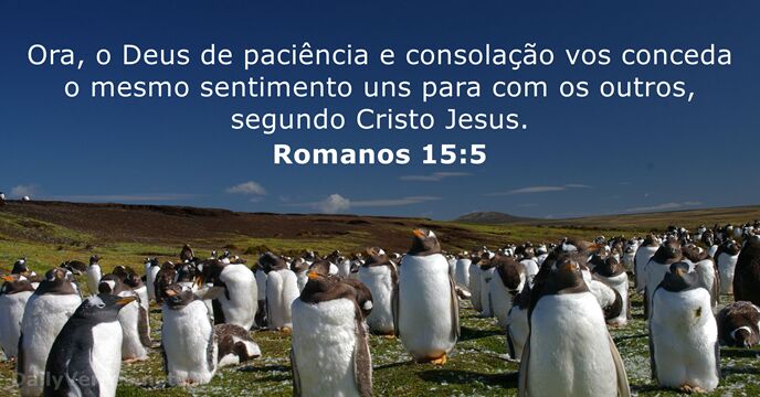 romanos 15:5