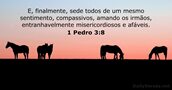 1-pedro 3:8