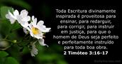 2-timoteo 3:16-17