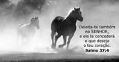salmos 37:4