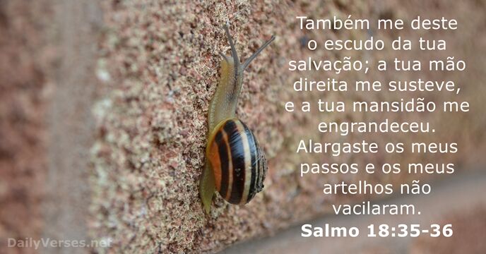 salmos 18:35-36