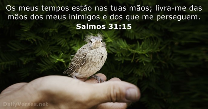salmos 31:15