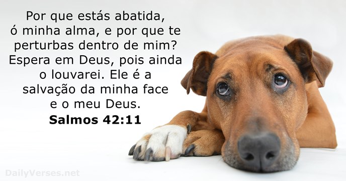 salmos 42:11