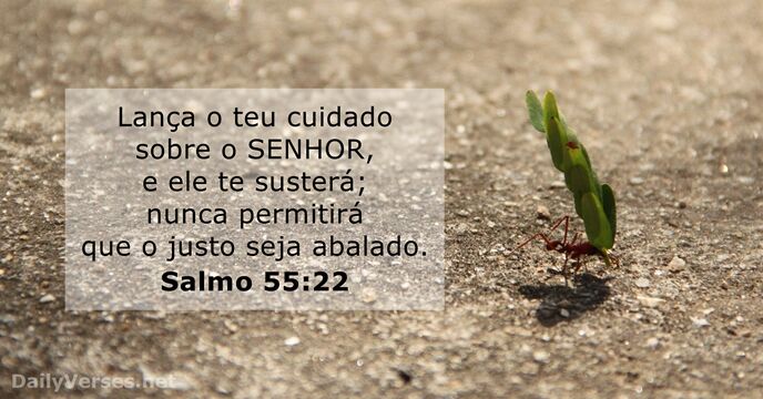 salmos 55:22