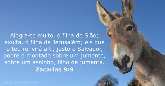 zacarias 9:9