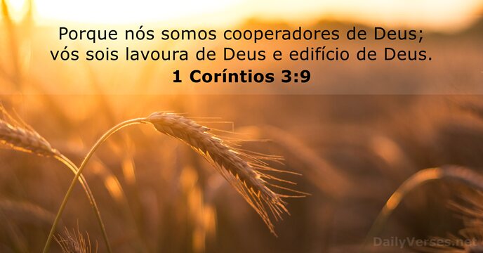 Porque nós somos cooperadores de Deus; vós sois lavoura de Deus e… 1 Coríntios 3:9