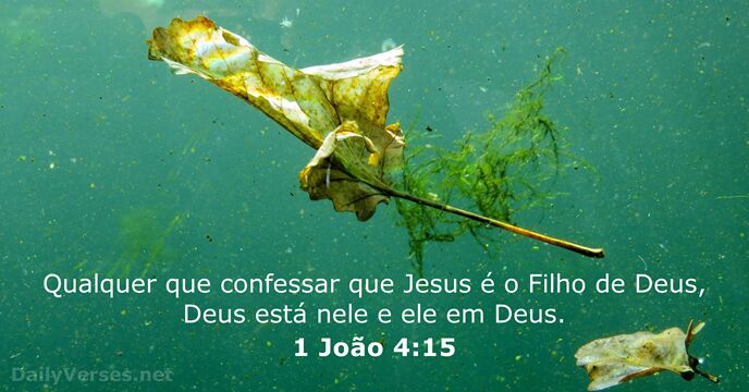 Qualquer que confessar que Jesus é o Filho de Deus, Deus está… 1 João 4:15