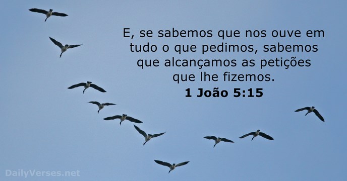 1 João 5:15