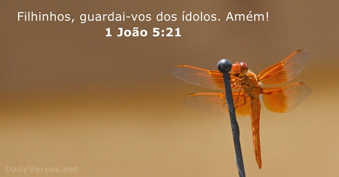 Filhinhos, guardai-vos dos ídolos. Amém! 1 João 5:21