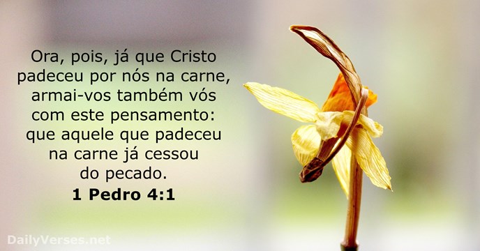 Ora, pois, já que Cristo padeceu por nós na carne, armai-vos também… 1 Pedro 4:1