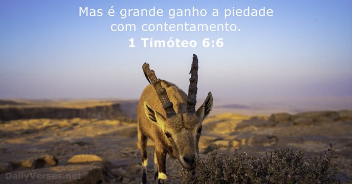 1 Timóteo 6:6