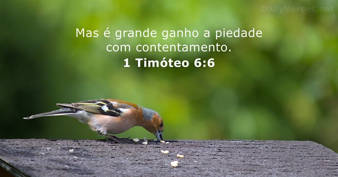 1 Timóteo 6:6