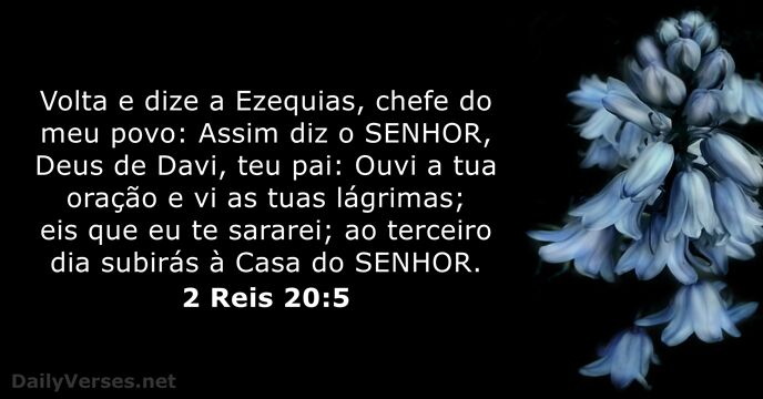 Volta e dize a Ezequias, chefe do meu povo: Assim diz o… 2 Reis 20:5