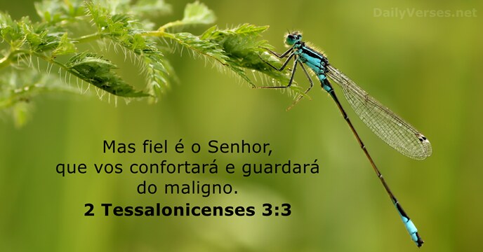 Mas fiel é o Senhor, que vos confortará e guardará do maligno. 2 Tessalonicenses 3:3