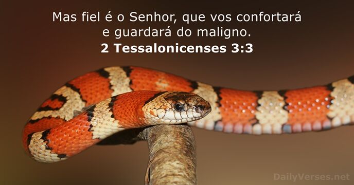 Mas fiel é o Senhor, que vos confortará e guardará do maligno. 2 Tessalonicenses 3:3