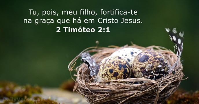 Tu, pois, meu filho, fortifica-te na graça que há em Cristo Jesus. 2 Timóteo 2:1