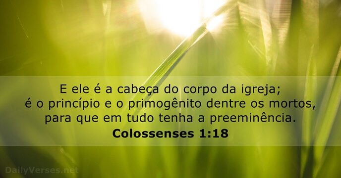 E ele é a cabeça do corpo da igreja; é o princípio… Colossenses 1:18