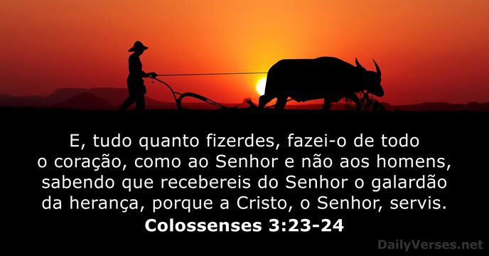 E, tudo quanto fizerdes, fazei-o de todo o coração, como ao Senhor… Colossenses 3:23-24