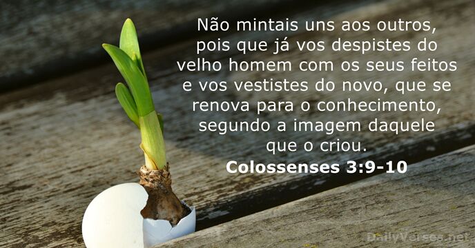 Colossenses 3:9-10