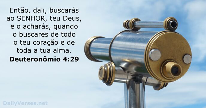 Deuteronômio 4:29