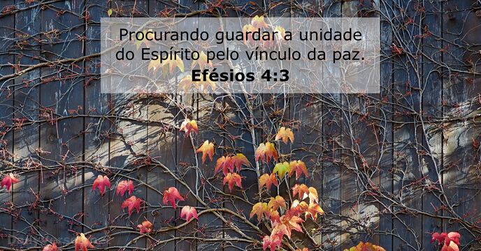 Efésios 4:3