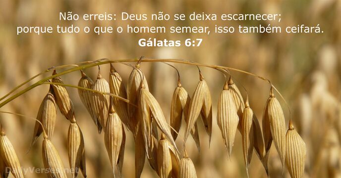 Gálatas 6:7