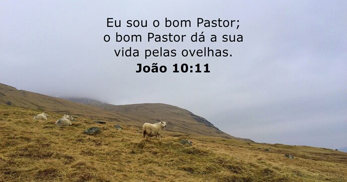 Eu sou o bom Pastor; o bom Pastor dá a sua vida pelas ovelhas. João 10:11