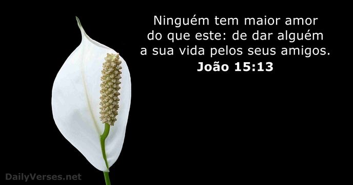 João 15:13