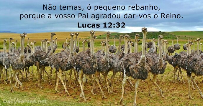 Lucas 12:32