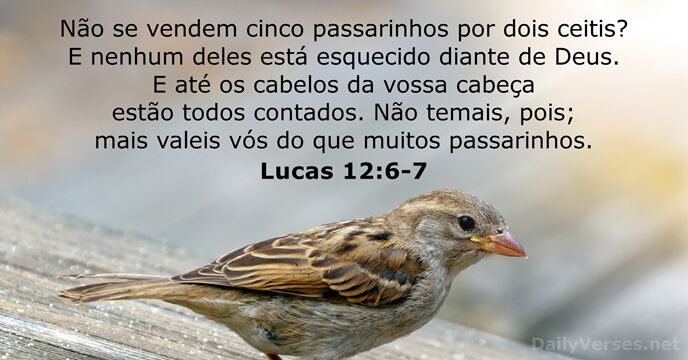 Lucas 12:6-7
