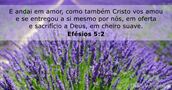 Efésios 5:2