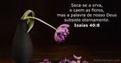 Isaías 40:8