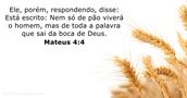 Mateus 4:4
