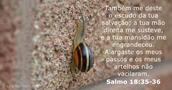 Salmos 18:35-36