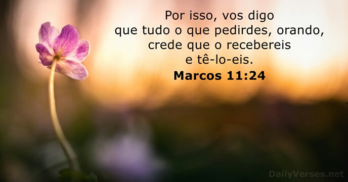 Marcos 11:24