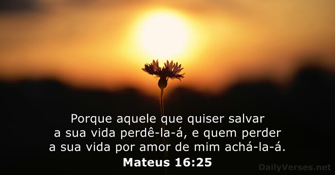 Mateus 16:25