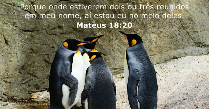 Mateus 18:20