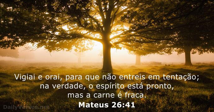 Vigiai e orai, para que não entreis em tentação; na verdade, o… Mateus 26:41