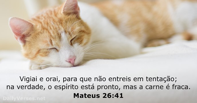 Mateus 26:41