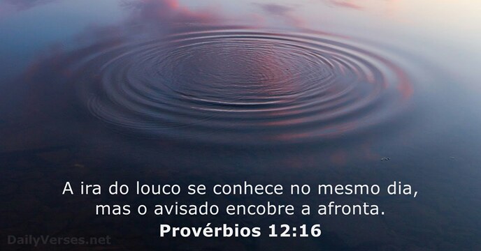 Provérbios 12:16