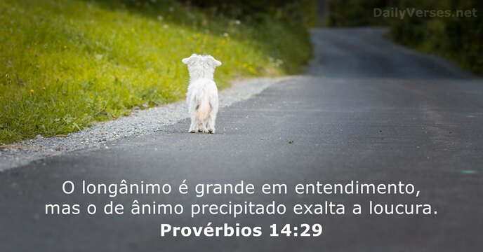 O longânimo é grande em entendimento, mas o de ânimo precipitado exalta a loucura. Provérbios 14:29