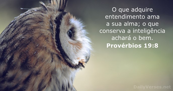 Provérbios 19:8