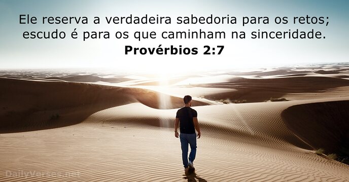 Provérbios 2:7