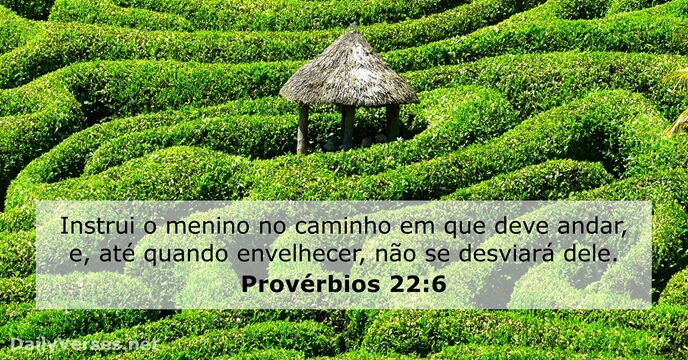 Provérbios 22:6