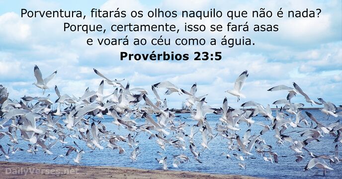 Provérbios 23:5