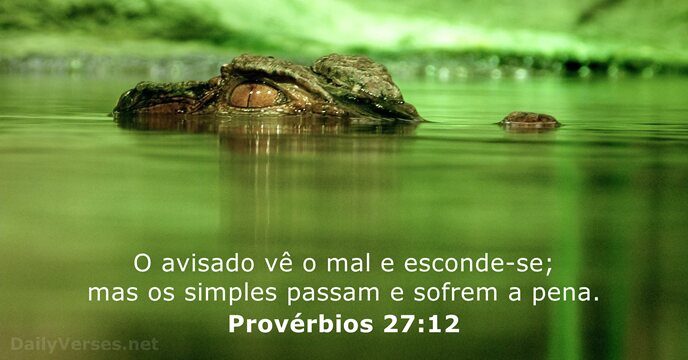 Provérbios 27:12