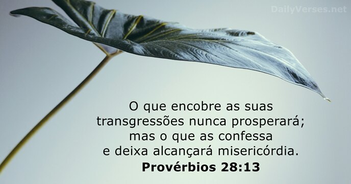 Provérbios 28:13