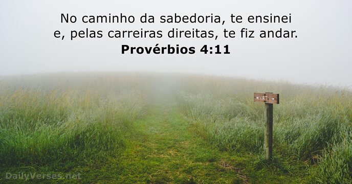 No caminho da sabedoria, te ensinei e, pelas carreiras direitas, te fiz andar. Provérbios 4:11