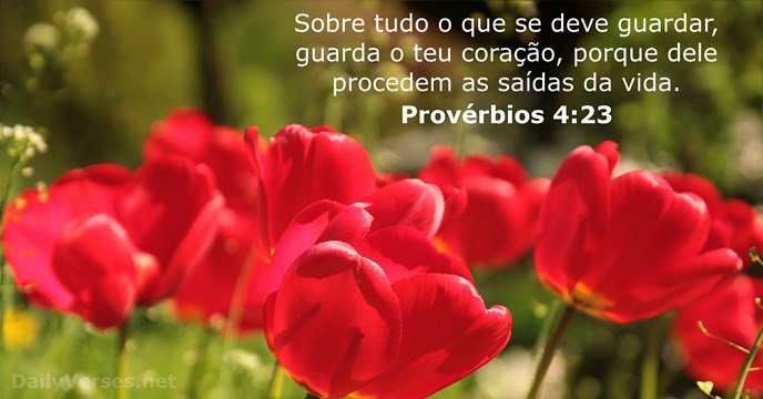 Provérbios 4:23