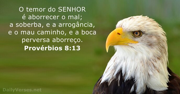 O temor do SENHOR é aborrecer o mal; a soberba, e a… Provérbios 8:13